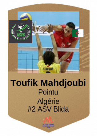 Toufik Mahdjoubi