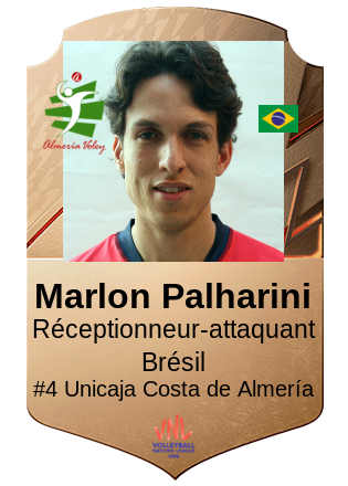 Marlon Palharini