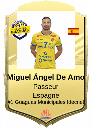 Miguel Ángel De Amo