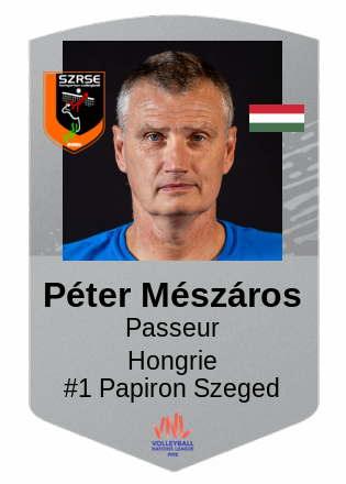 Péter Mészáros