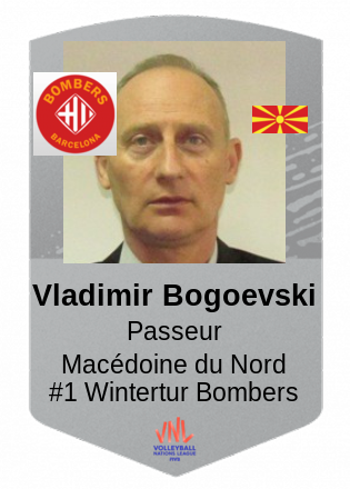Vladimir Bogoevski