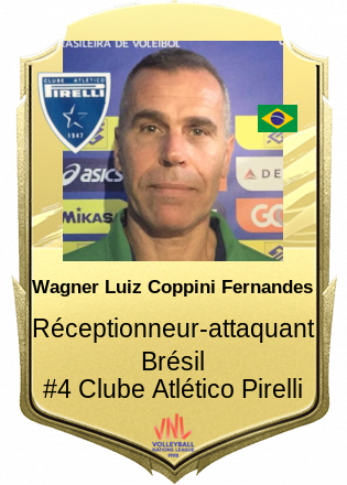 Wagner Luiz Coppini Fernandes