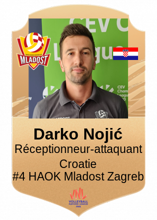 Darko Nojić