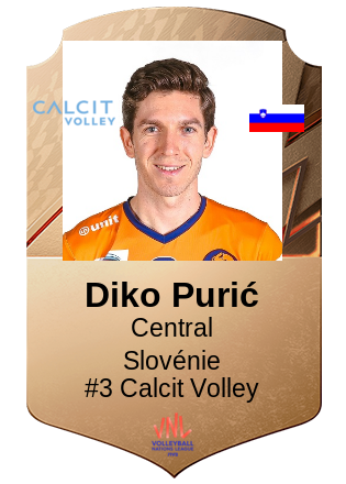 Diko Purić