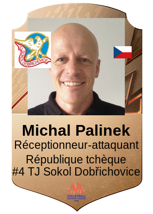 Michal Palinek