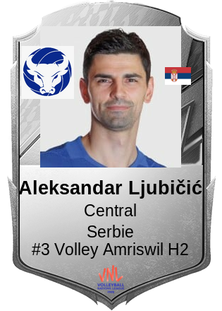Aleksandar Ljubičić