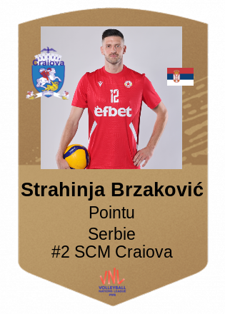 Strahinja Brzaković
