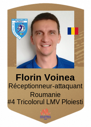 Florin Voinea