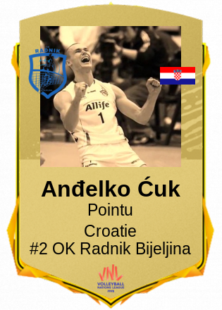 Anđelko Ćuk