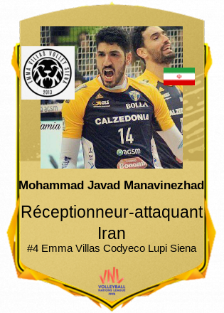Mohammad Javad Manavinezhad