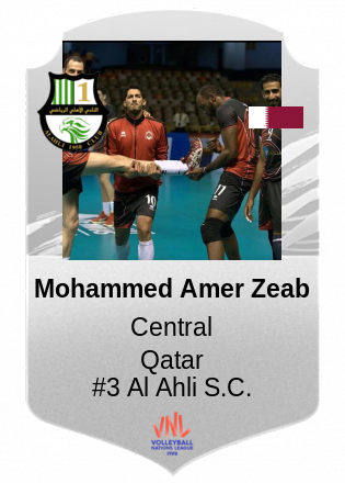 Mohammed Amer Zeab
