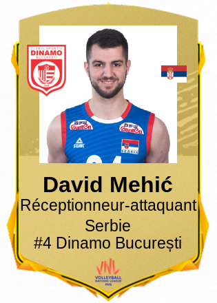 David Mehić