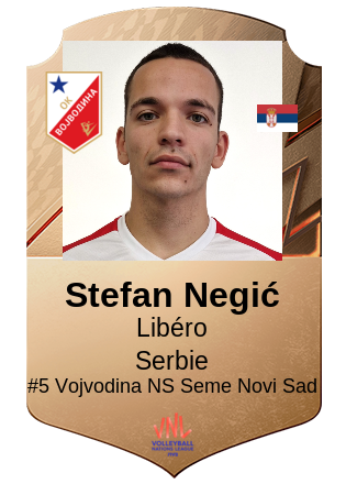 Stefan Negić
