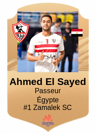 Ahmed El Sayed