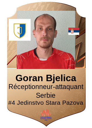 Goran Bjelica