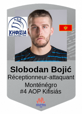 Slobodan Bojić