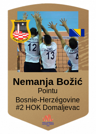 Nemanja Božić
