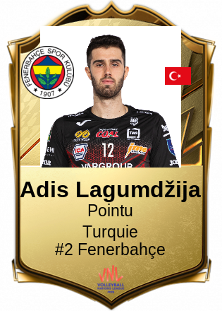 Adis Lagumdžija