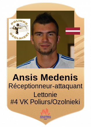 Ansis Medenis