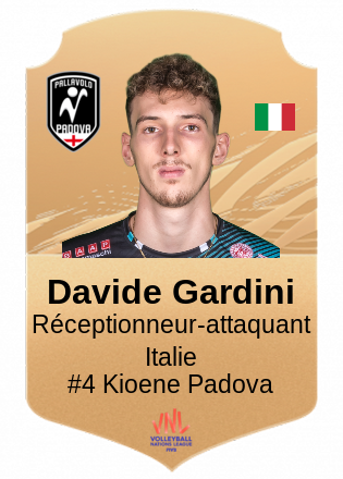 Davide Gardini