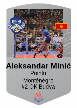 Aleksandar Minić