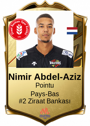 Nimir Abdel-Aziz