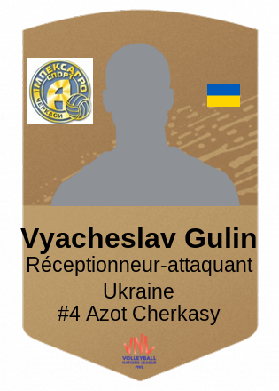 Vyacheslav Gulin