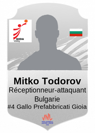 Mitko Todorov