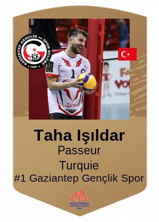 Taha Işıldar