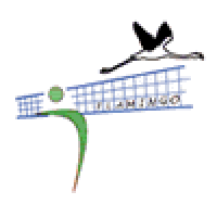VT Flamingo Maldegem