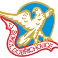 TJ Sokol Dobřichovice